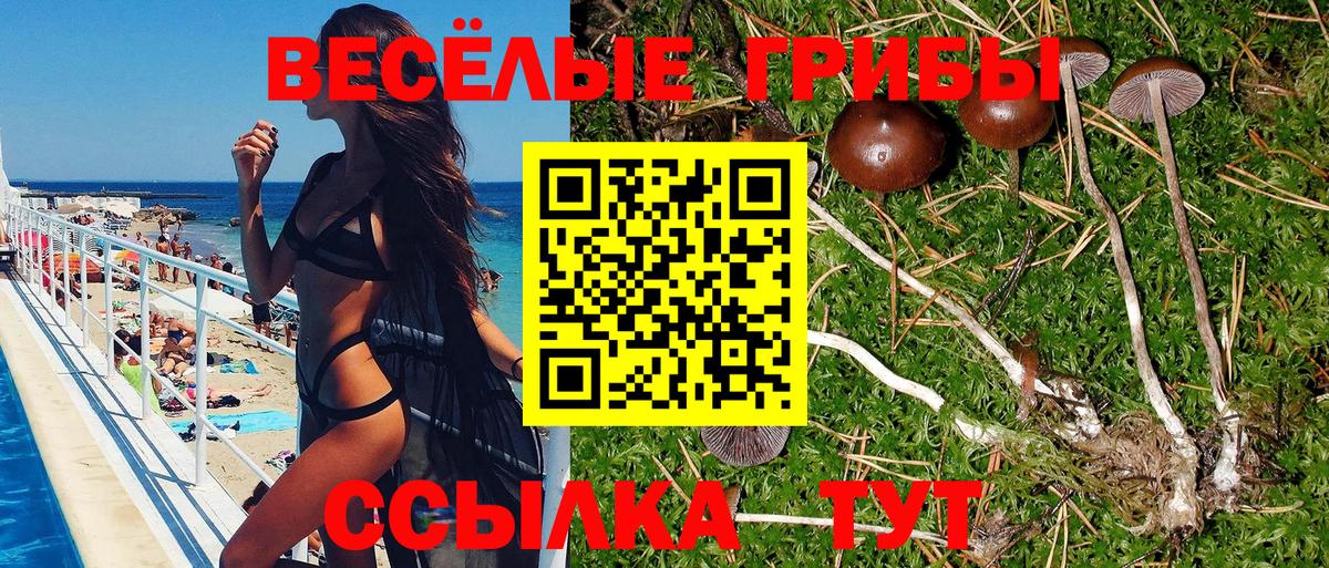 Псилоцибиновые грибы Psilocybe Шебекино