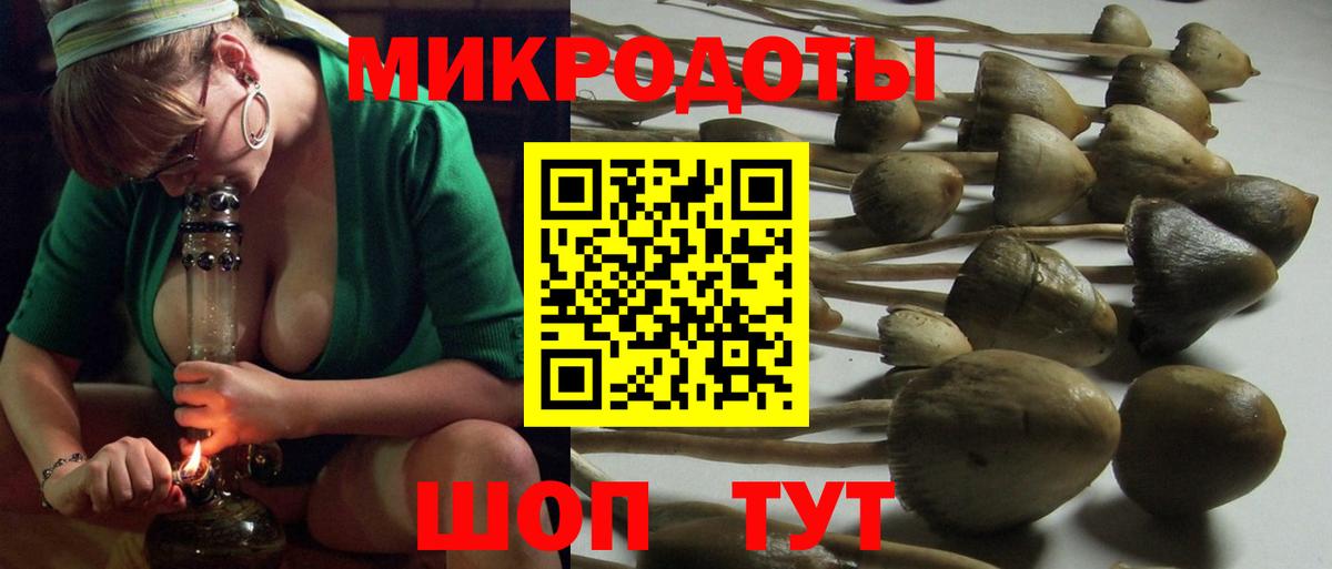 Шебекино  Галлюциногенные грибы мицелий  Вход с VPN 